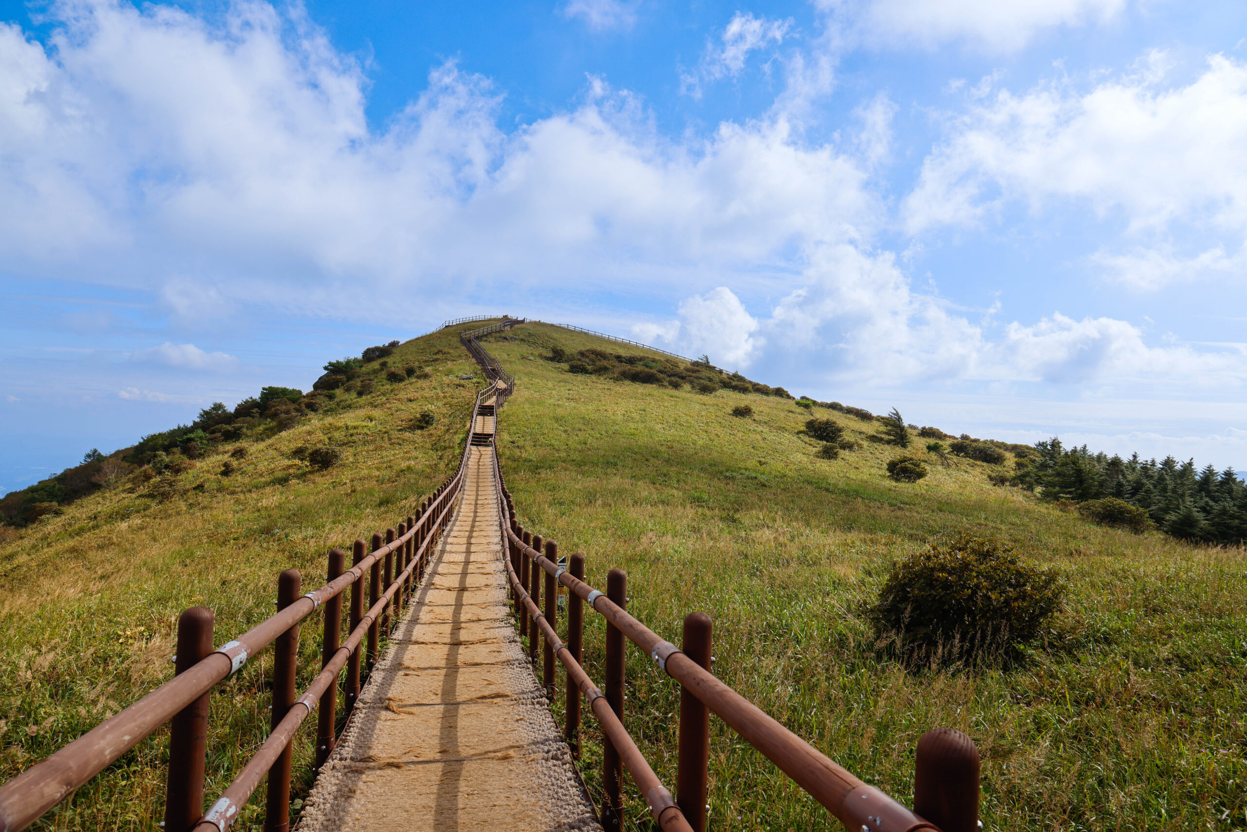 洋楽 Seo-Loc/Da Park The shortest trail up to the summit among Sobaeksan Trails